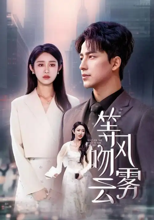 青云志 电视剧封面